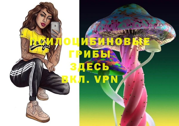 эйфоретик Алексин