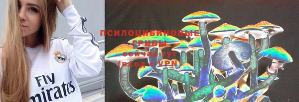 эйфоретик Алексин