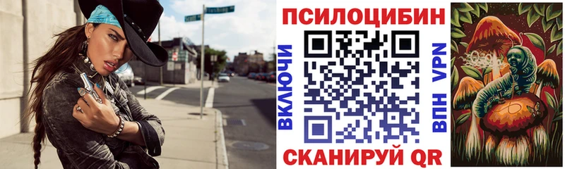 Псилоцибиновые грибы GOLDEN TEACHER  где найти наркотики  Гвардейск 